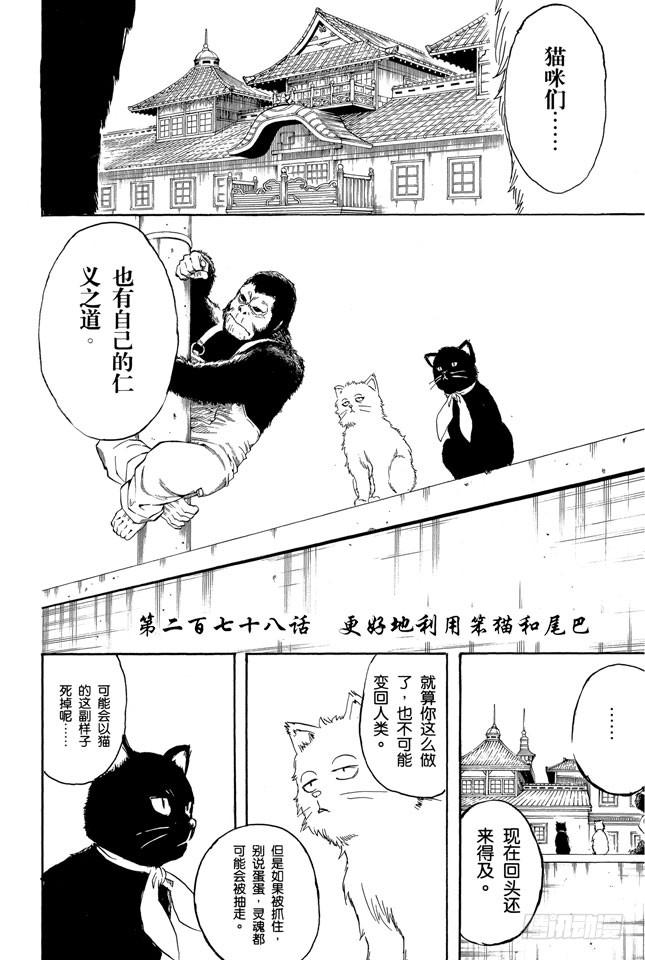 第278话 更好地利用笨猫和尾巴3
