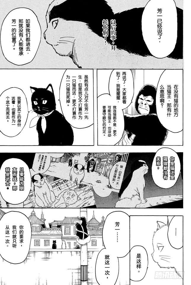 第278话 更好地利用笨猫和尾巴4