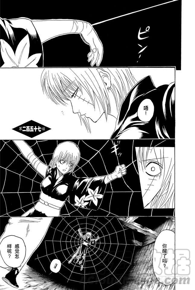 第257话 蛛丝引线，星火燎原0