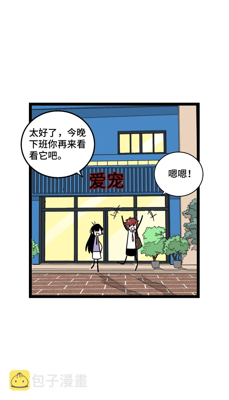 第70话 幸运的小狗3