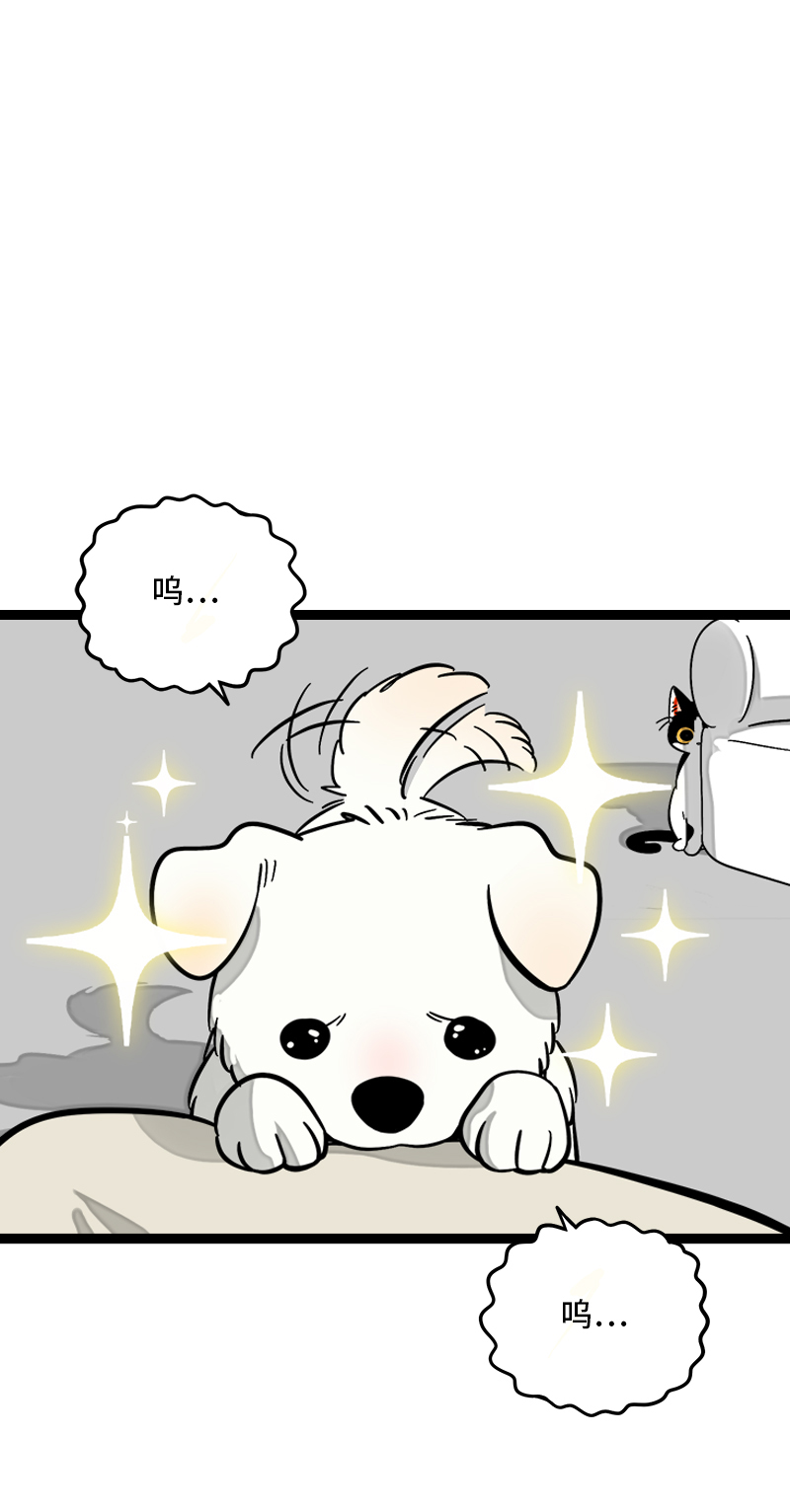 第124话  世界的参差2