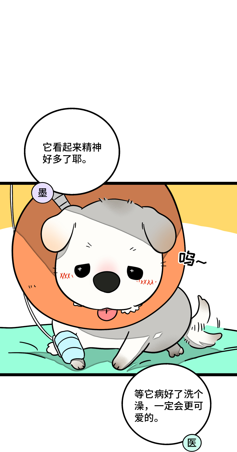 第70话 幸运的小狗2