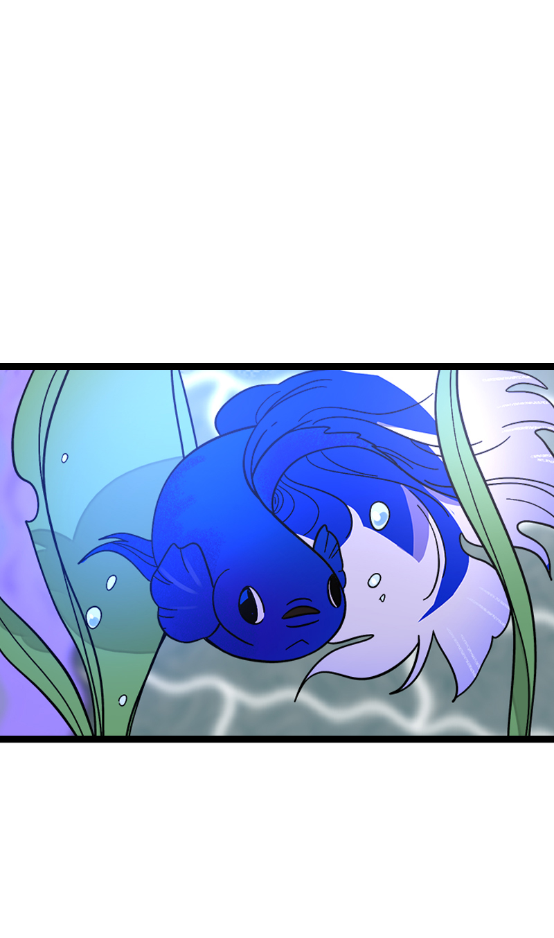 第150话 被封控的心2