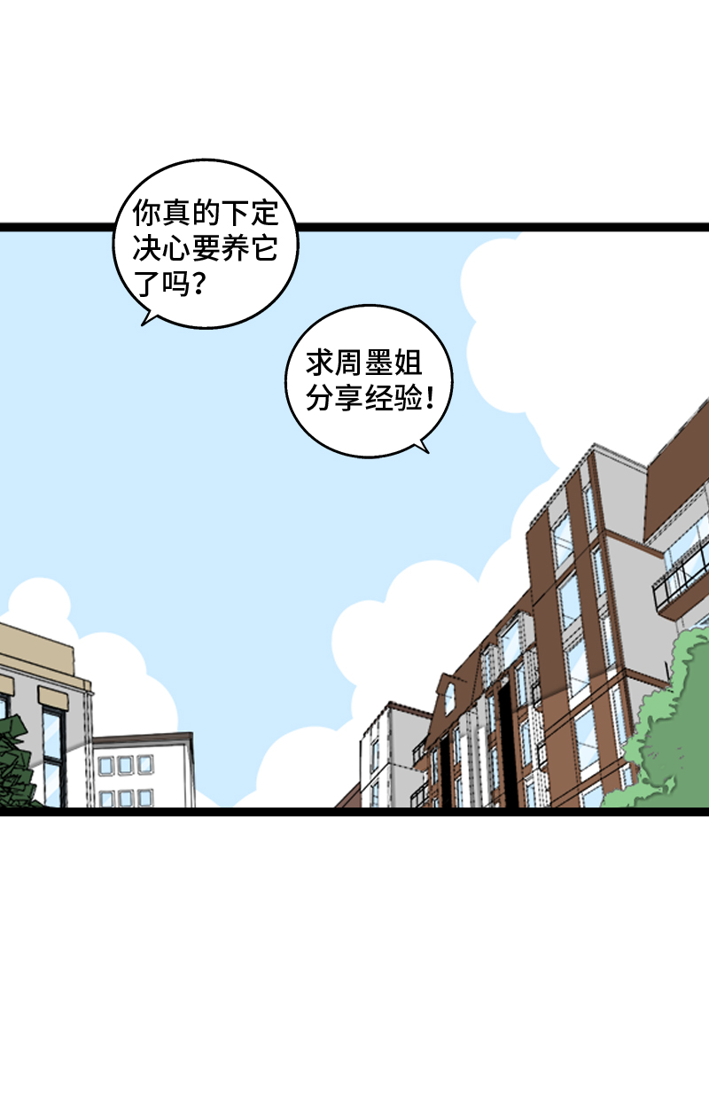 第70话 幸运的小狗4