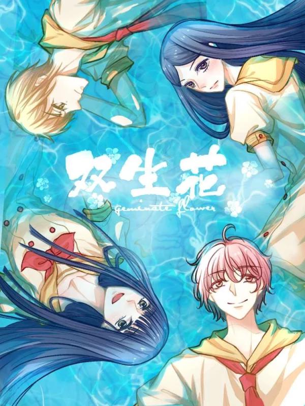 新图221