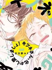 新图211