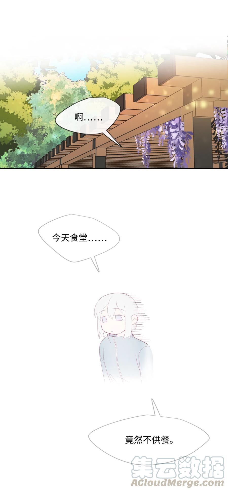 08 孢子化0