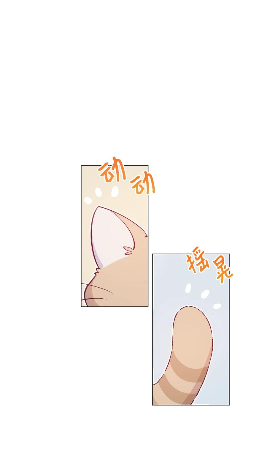 60 喵生幸福1