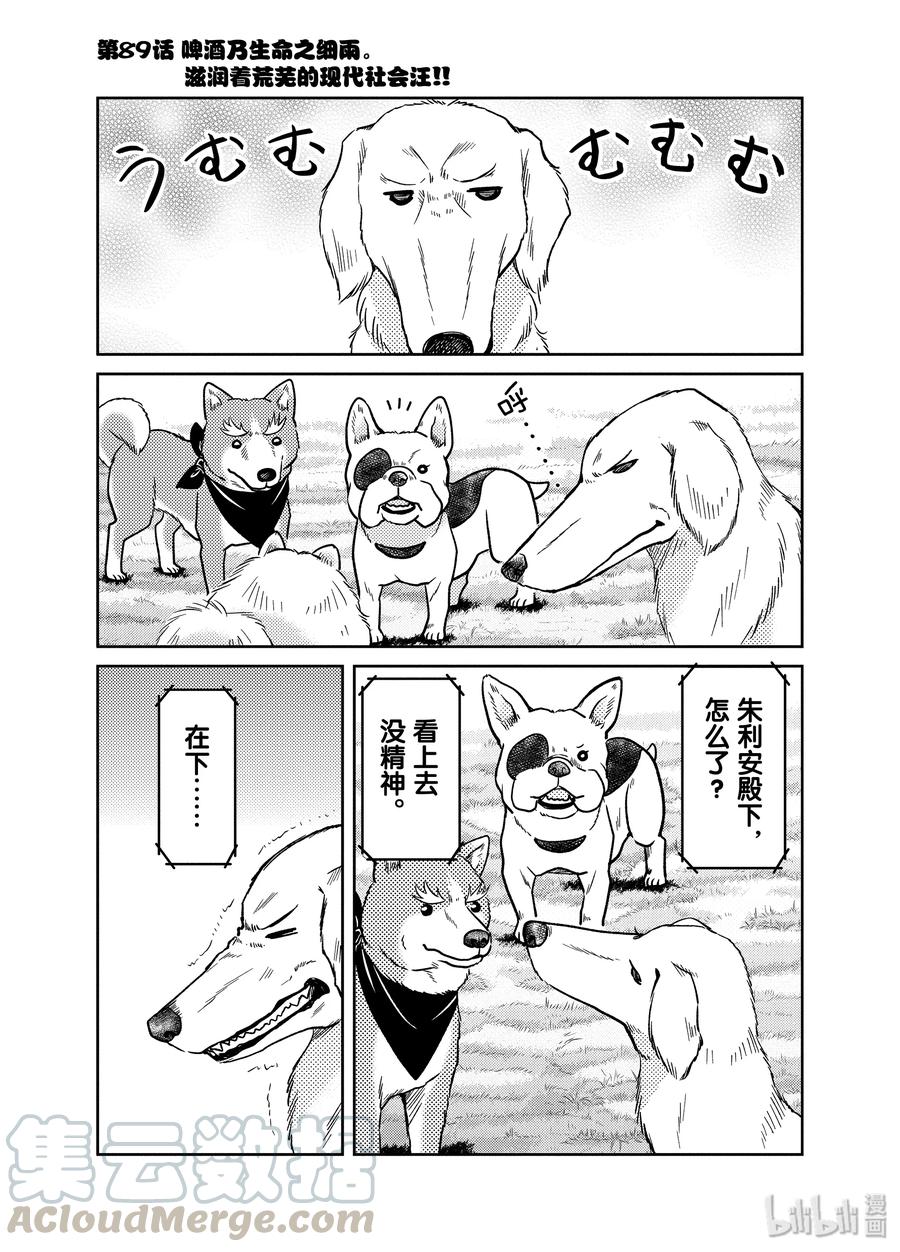 89 啤酒乃生命之细雨。滋润着荒芜的现代社会汪!!0