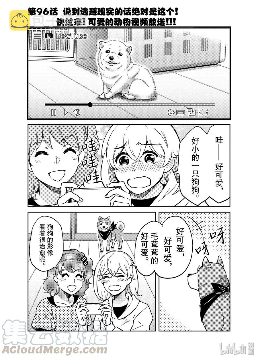 96 说到逃避现实的话绝对是这个！快过来!可爱的动物视频放送!!!0