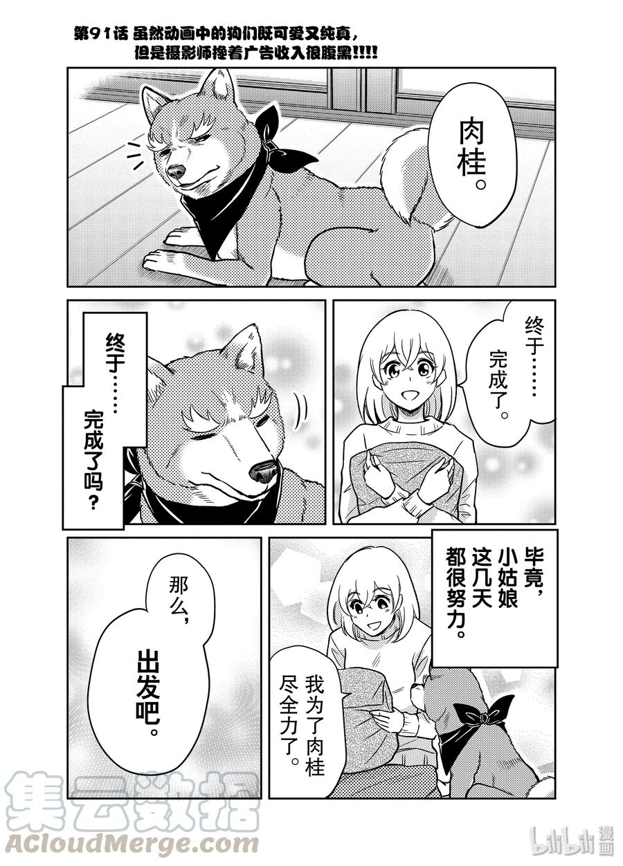 91 虽然动画中的狗们既可爱又纯真，但是摄影师搀着广告收入很腹黑!!0