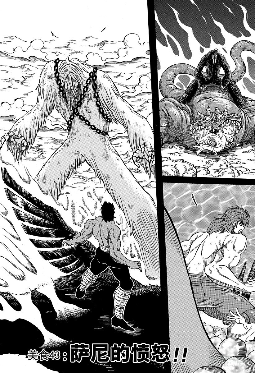 第43话 萨尼的愤怒！！2