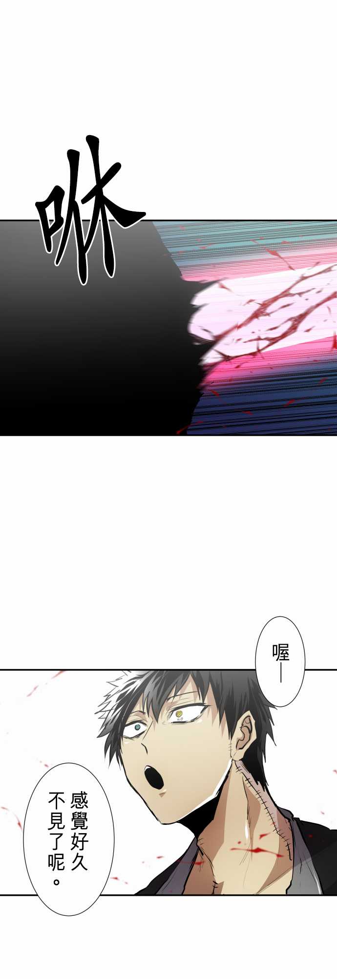 260话0