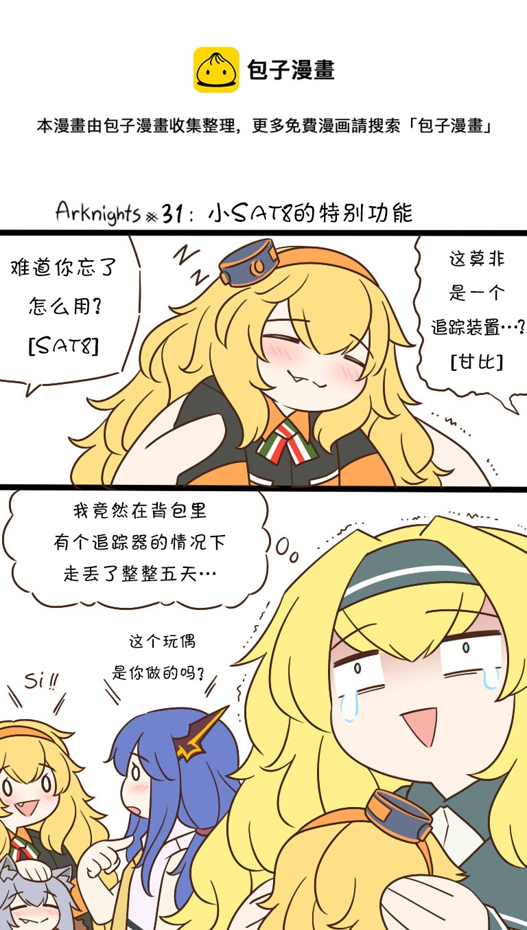 31 小SAT8的特别功能0