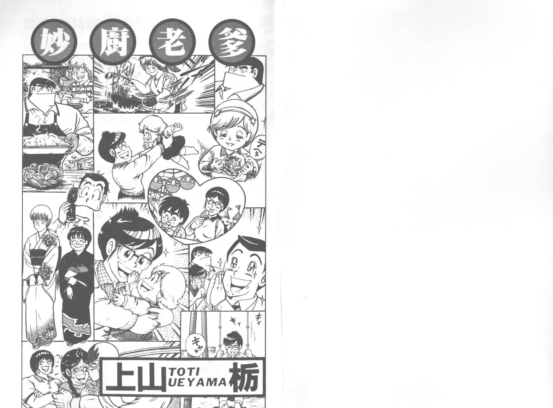 VOL311