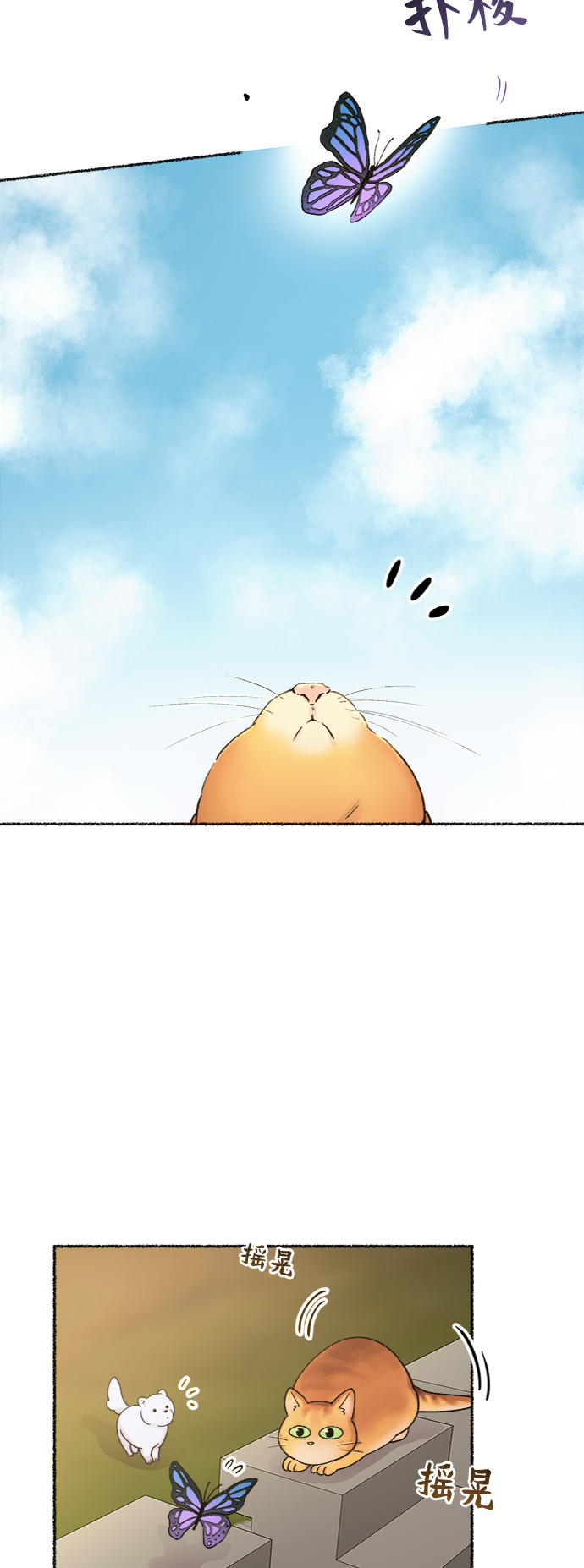 第80话 没关系，这是爱（3）1