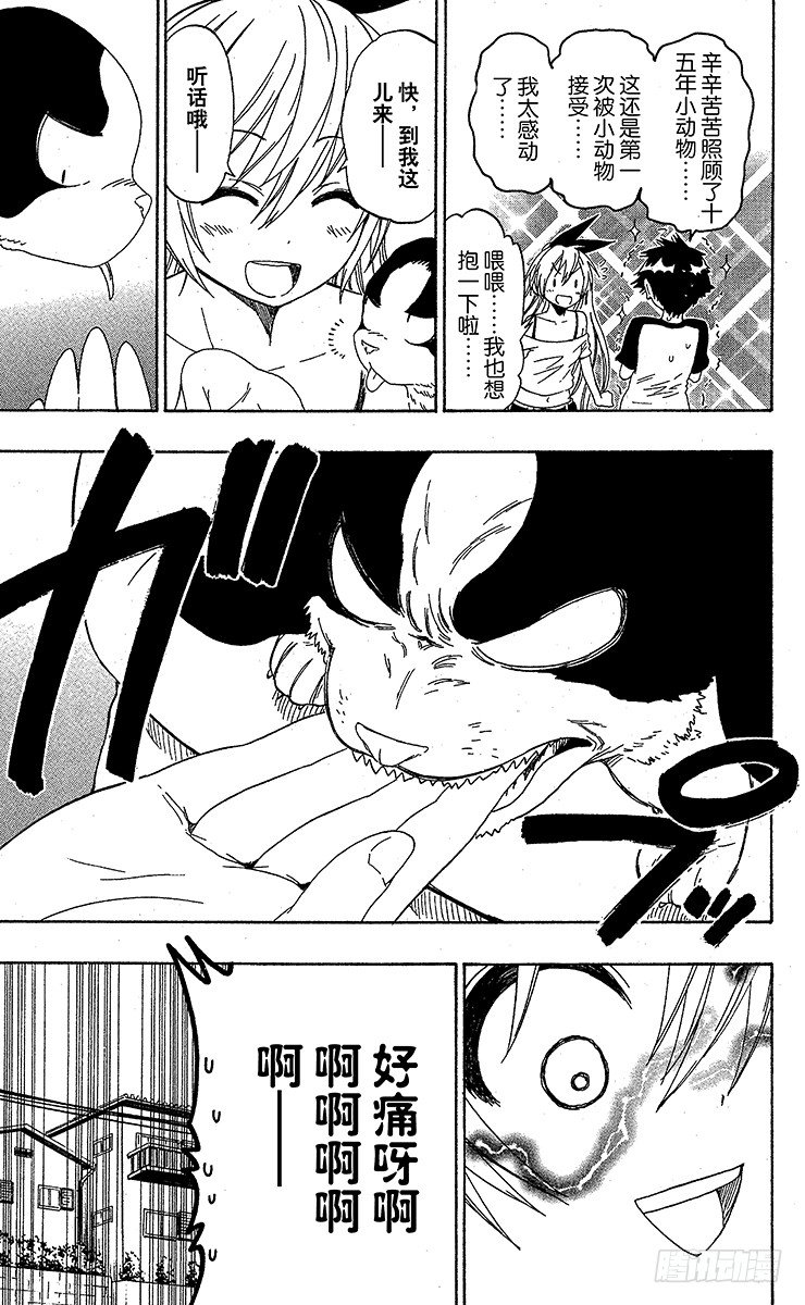 第41话 流浪狗4