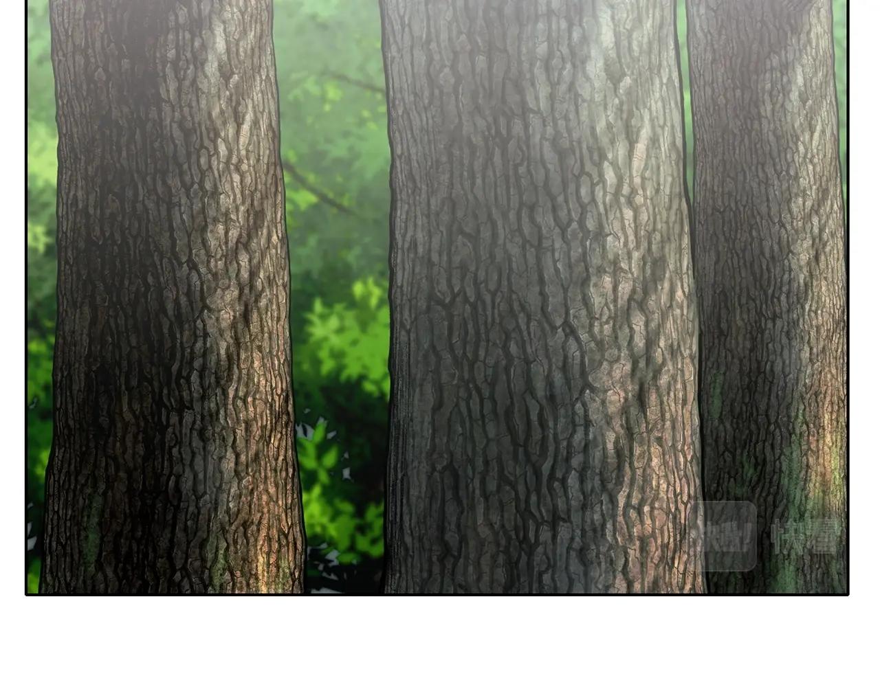 第11话 三雷剑法0