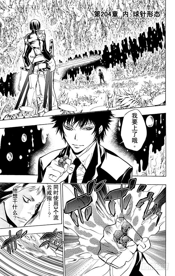 第204话 内球针形态0