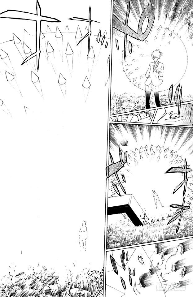 第204话 内球针形态3