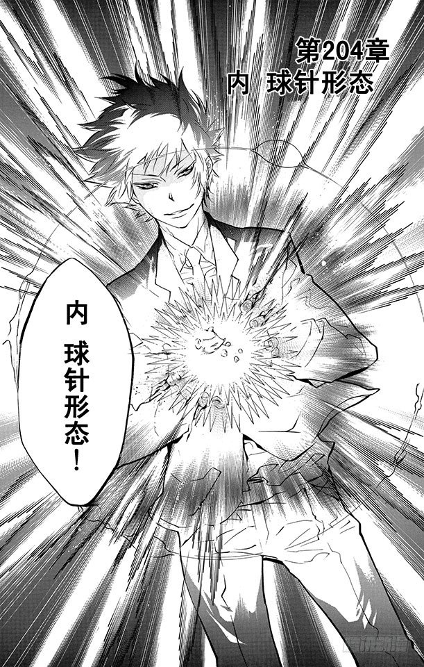 第204话 内球针形态2