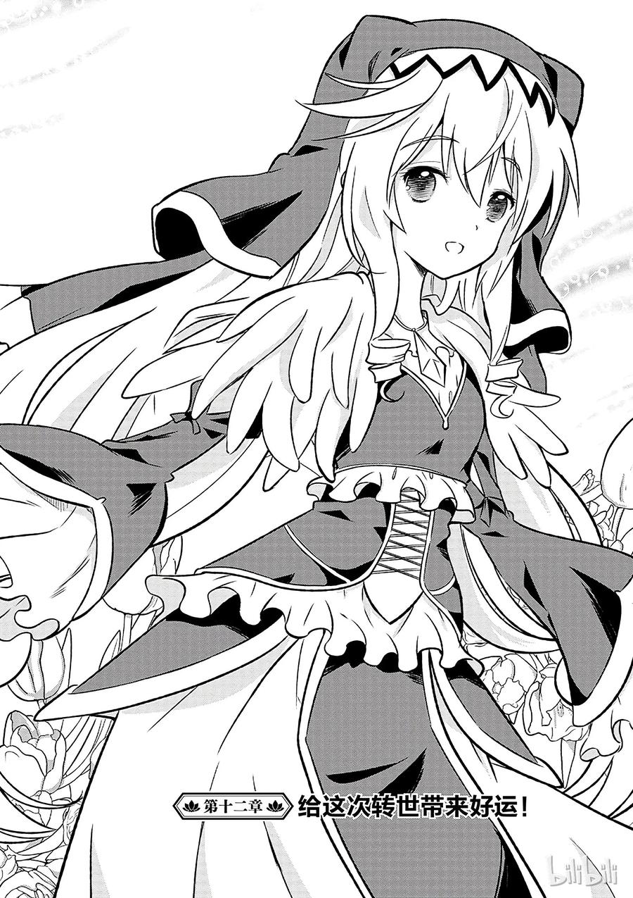12 给这次转世带来好运！1