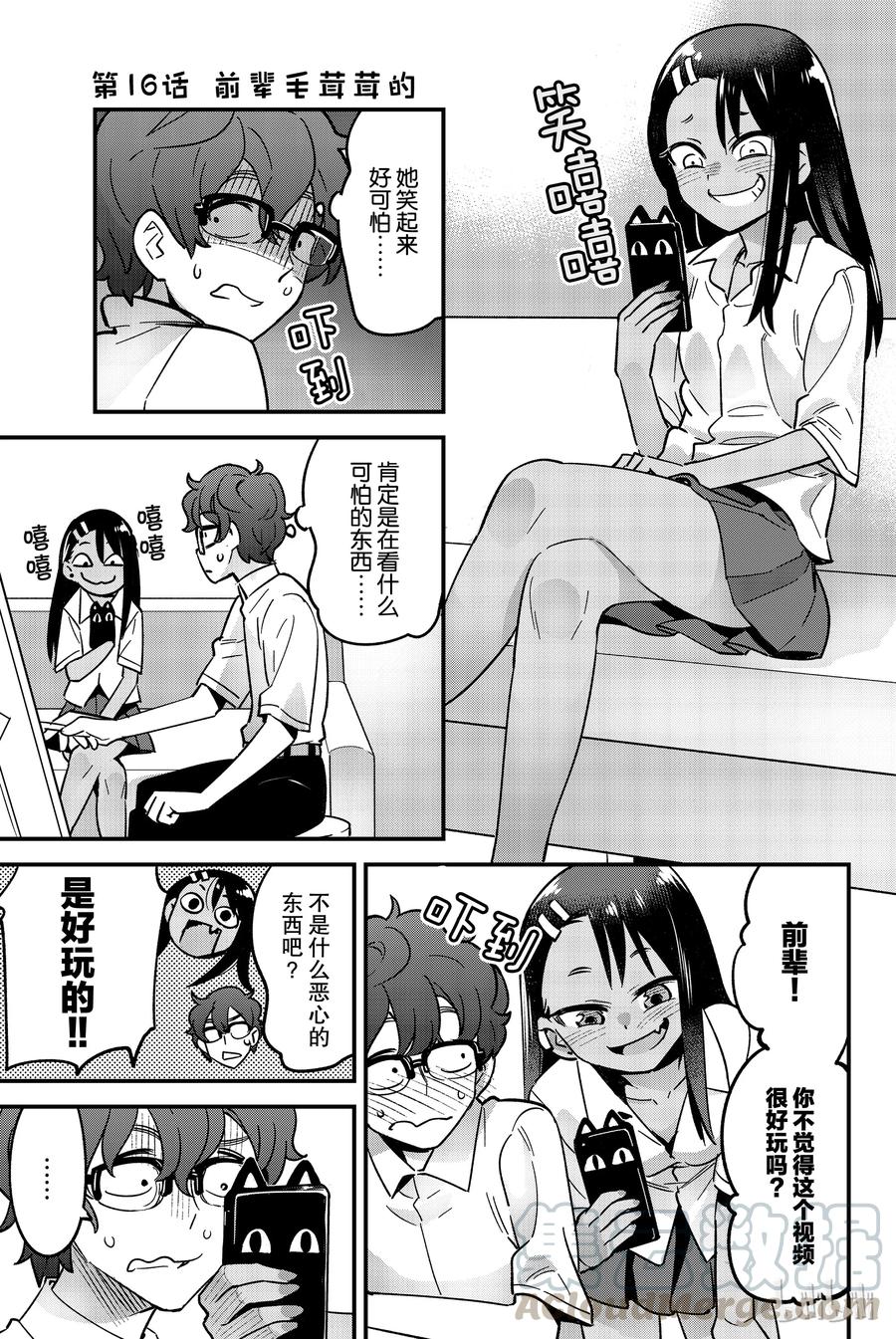 16 前辈毛茸茸的0