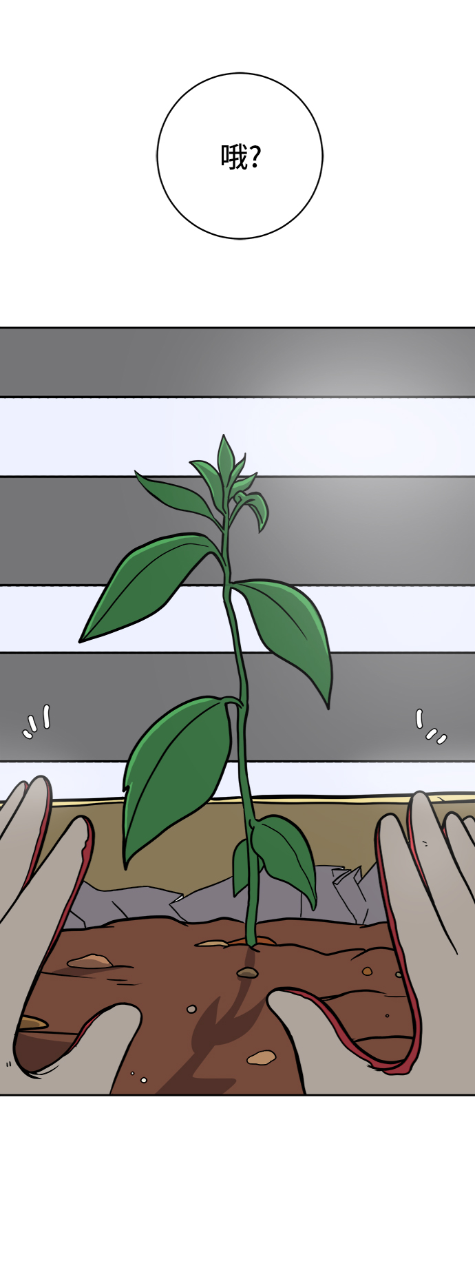 [第47话] 治愈空间1-宝拉的一天3