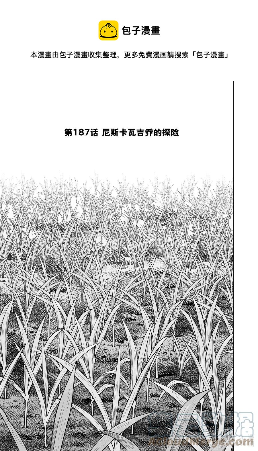 187 尼斯卡瓦吉乔的探险0