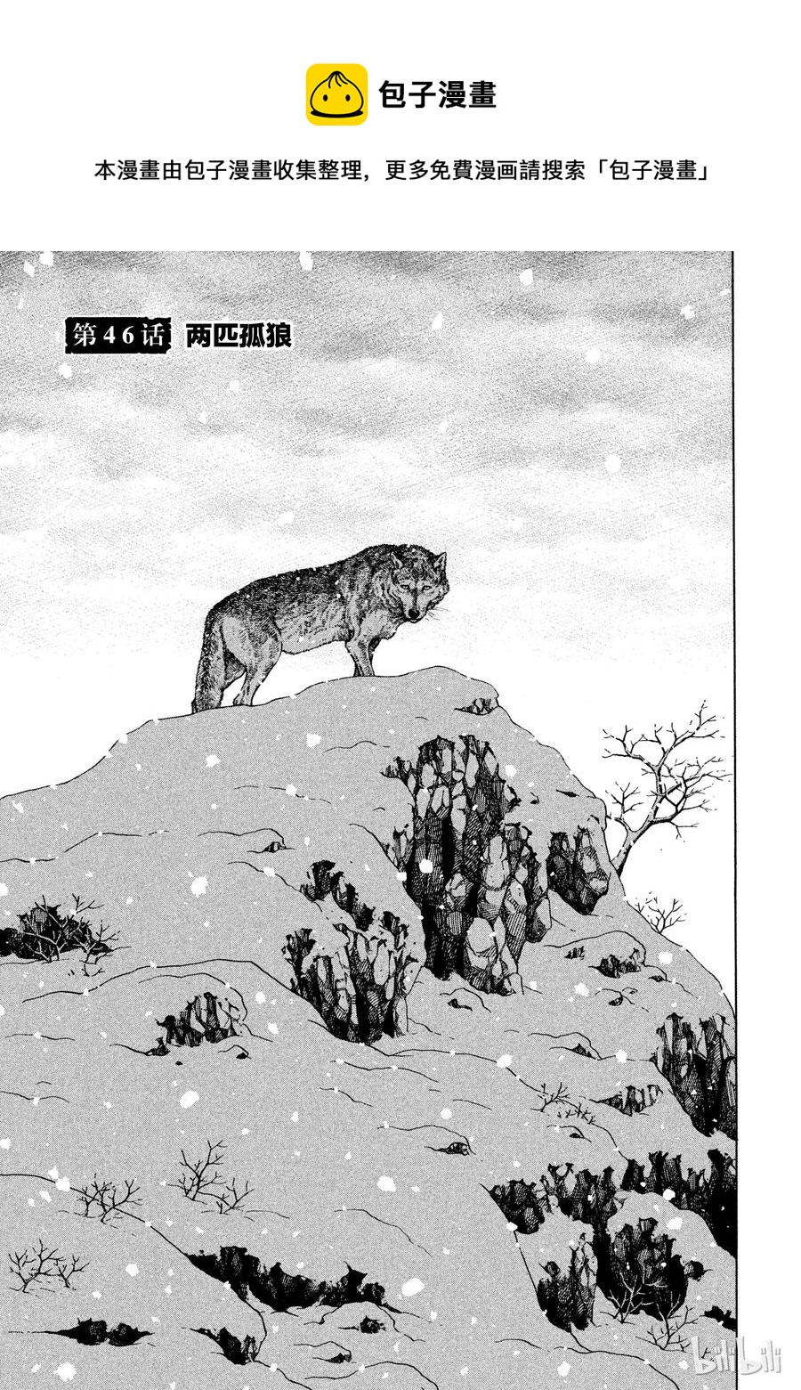 046 两匹孤狼0