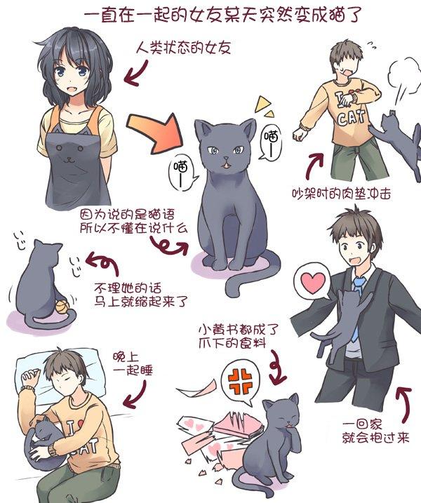 一直在一起的女友某天突然变成猫了0