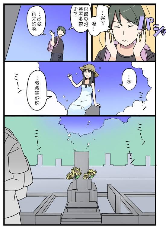 石阶和向日葵3
