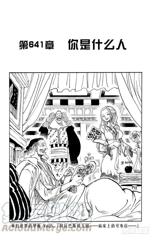 第641话 你是什么人0