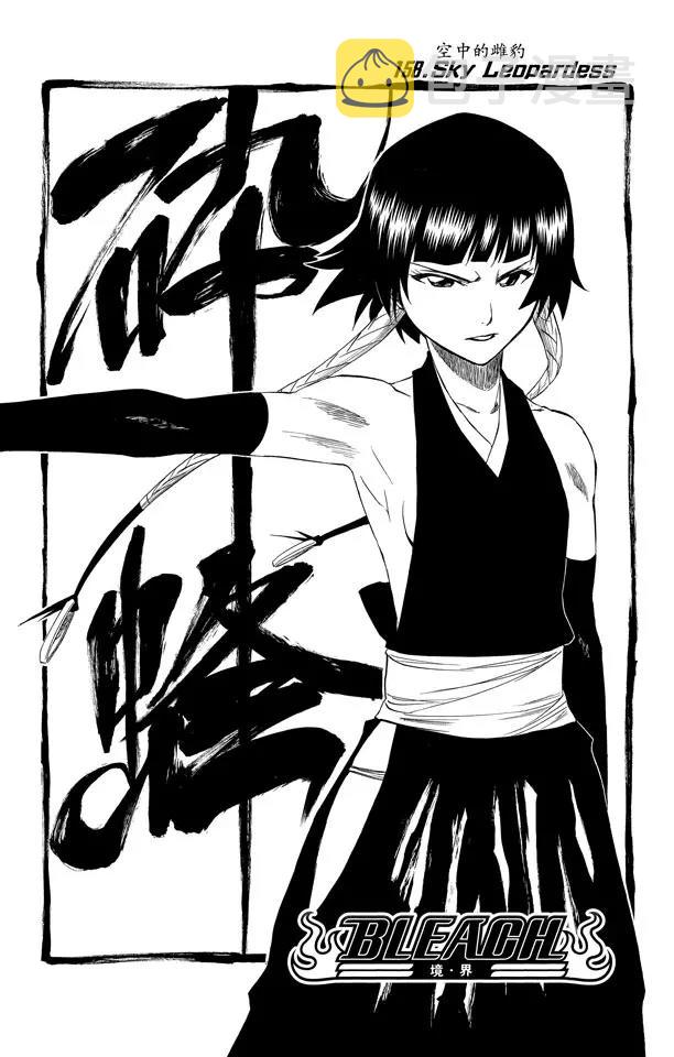 第158话 空中的雌豹4