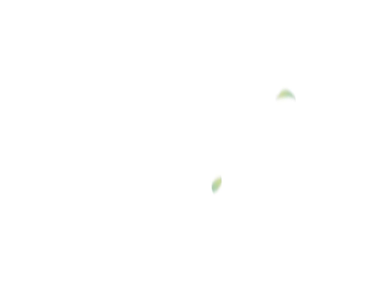 第2季 第6话 认清现实2